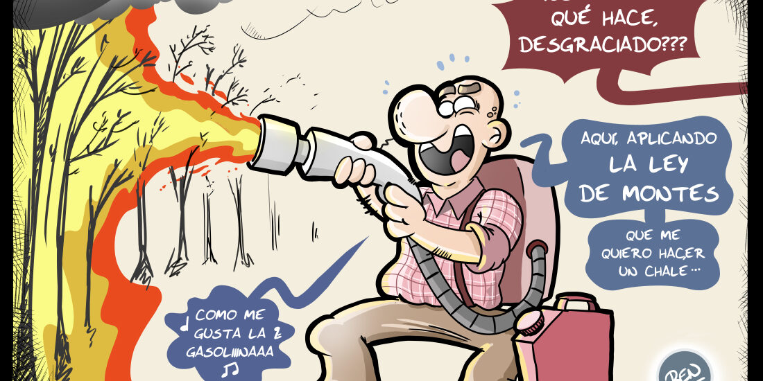 Aplicando la Ley de Montes