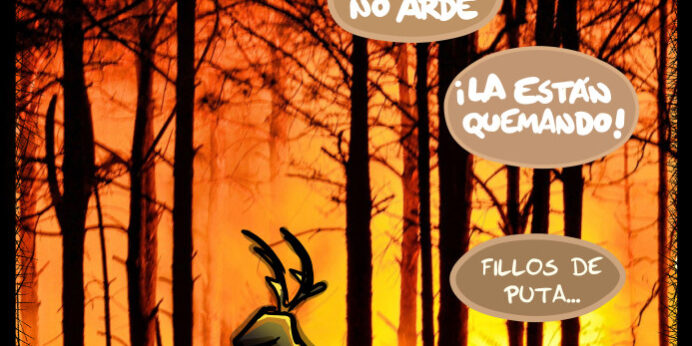 Galicia no arde: NOS LA ESTÄN QUEMANDO!!!