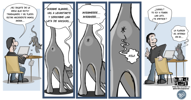 Poder gatuno