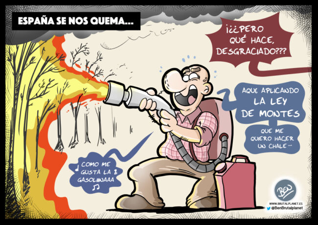 Aplicando la Ley de Montes