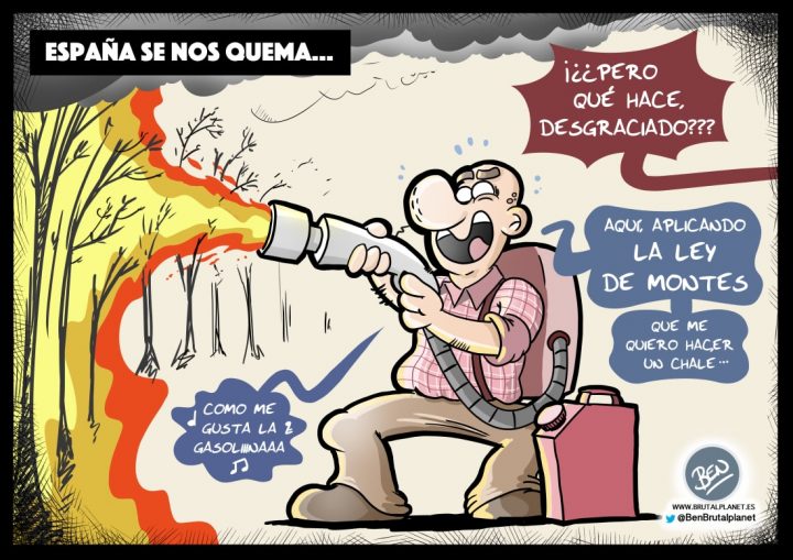 Aplicando la Ley de Montes