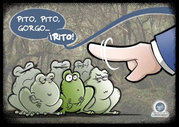 BrutalPlanet – 0394 – Eligiendo rana nueva Eligiendo rana nueva