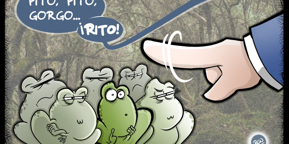 Eligiendo rana nueva